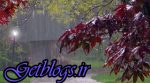 استمرار بارش ها در کشور